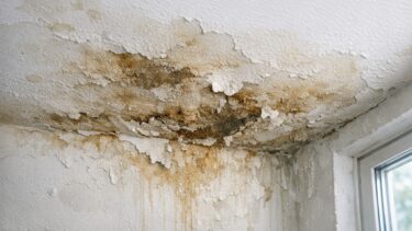 « Je pensais être bien couvert » : voici ce que dit la loi quand l'assurance refuse de payer après un dégât des eaux